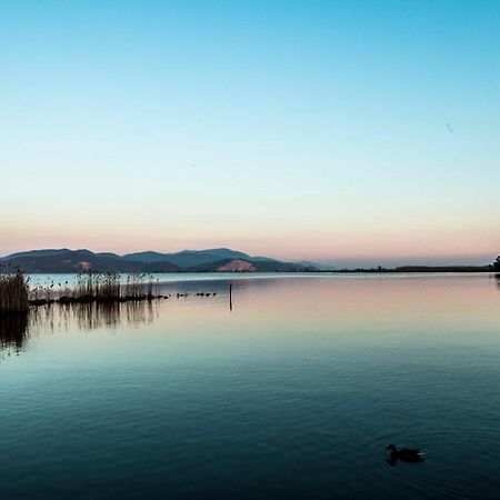 Hotel Butterfly Torre del Lago Puccini Kültér fotó