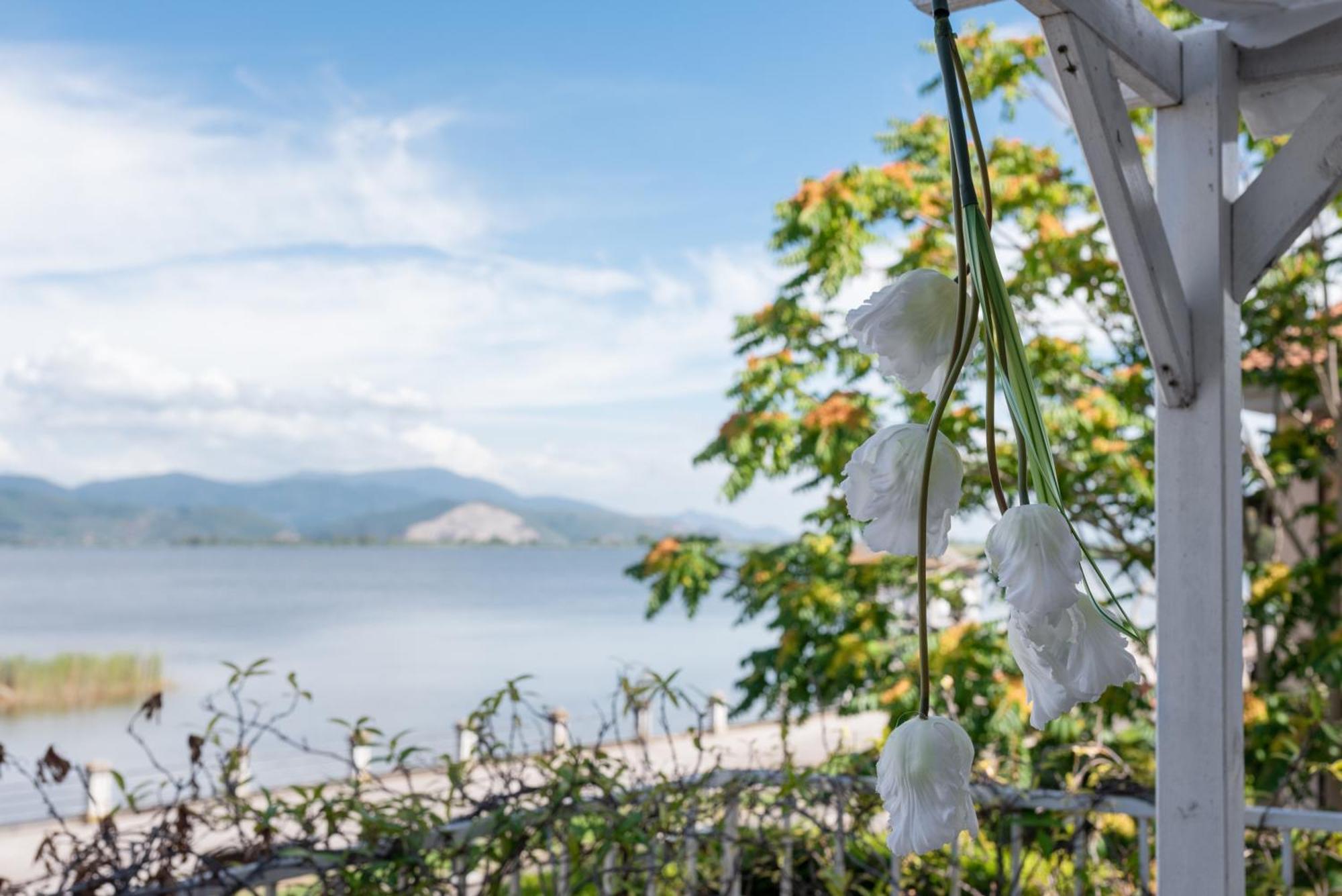 Hotel Butterfly Torre del Lago Puccini Kültér fotó
